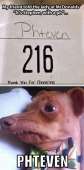 600x1205