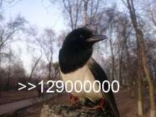 400x300