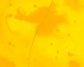 450x360