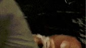 350x196