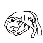 400x400