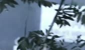 610x360