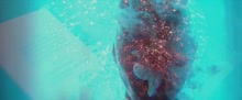 1152x478