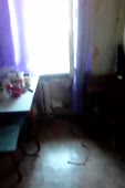 360x540