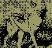 170x158