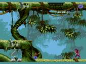 640x480