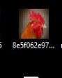 89x113