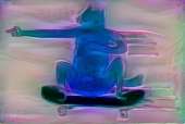 500x336