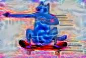 600x404