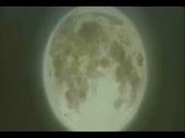 320x240
