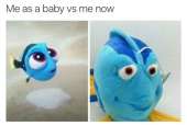 500x337