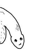 400x400