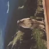 360x360