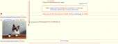 1232x466