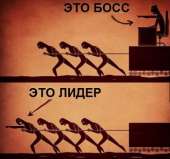 500x468