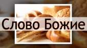 1366x761
