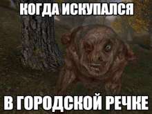 800x600