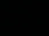 384x288