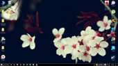 1366x768