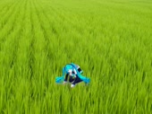 480x360