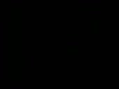 352x264