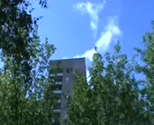 294x240