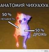 540x572