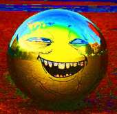 428x418