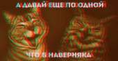 500x261