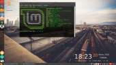 1366x768