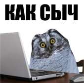 381x378
