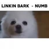 280x280