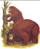 345x421