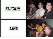 500x371