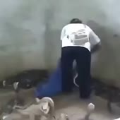360x360