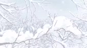 1280x720
