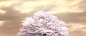 1920x816