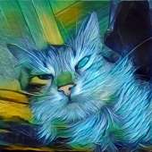 1070x1070