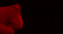 1280x692
