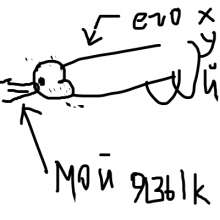 400x400