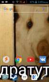 480x800