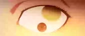 500x213