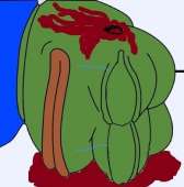 388x392