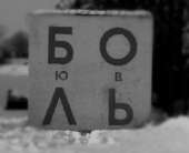 560x456