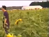 320x240