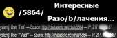300x100