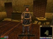 480x360