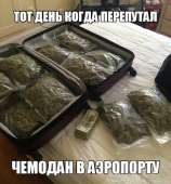 500x537