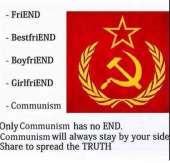 500x481