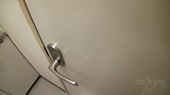500x282